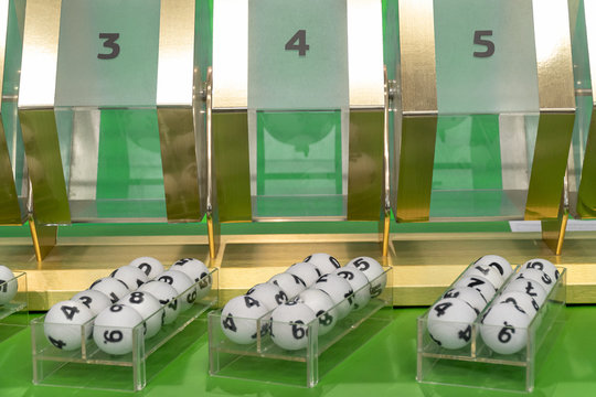 幸运羊生肖彩票